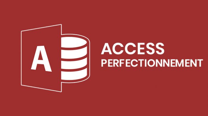 Access - Perfectionnement